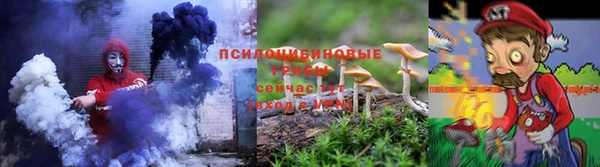 apvp Верхний Тагил