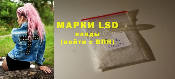 гашик Верея