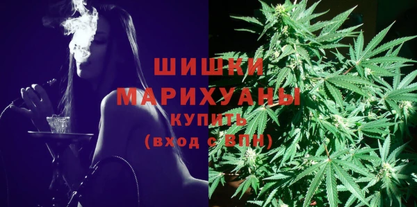 гашик Верея