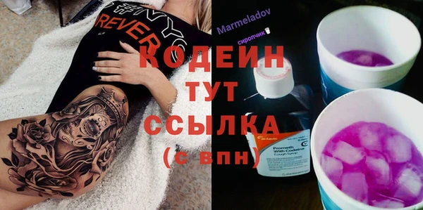гашик Верея