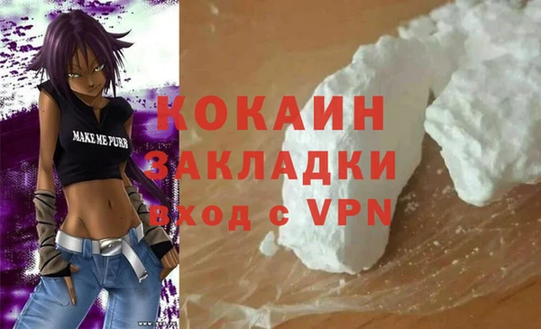 гашик Верея